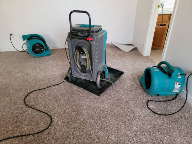 Best Professional water damage repair  in Wabash, IN