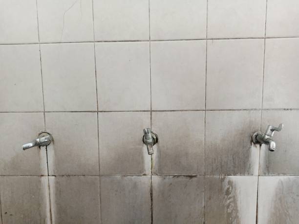 Carpet water damage restoration in Wabash, IN