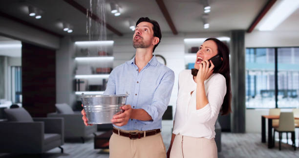 Best Carpet water damage restoration  in Wabash, IN